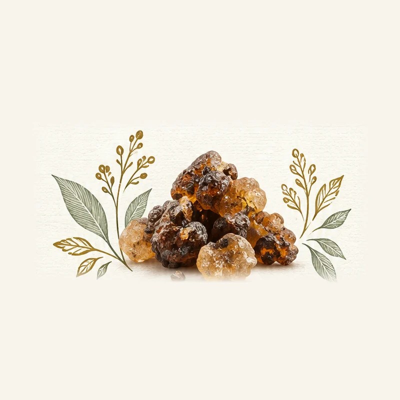Guggul botanical fragrance illustration